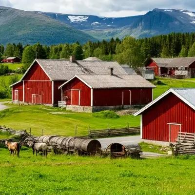 Работа на фермах в Норвегии 2025