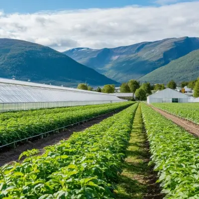 Работа в теплицах Норвегии 2025