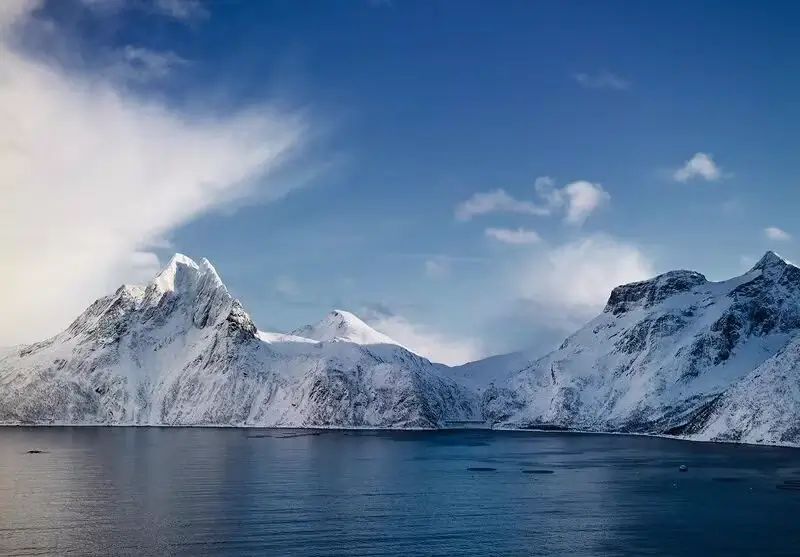 Работа в seafood-компаниях Норвегии: гид по трудоустройству
